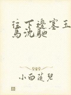 往下边塞玉器骑马沈驰封面