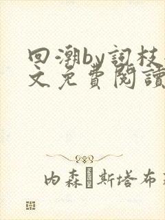 回潮by词枝全文免费阅读笔趣阁封面