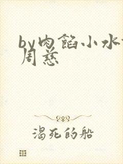 by肉馅小水饺周慈