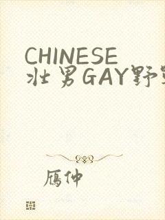 CHINESE壮男GAY野战强迫TUBE