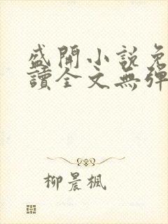 盛开小说免费阅读全文无弹窗