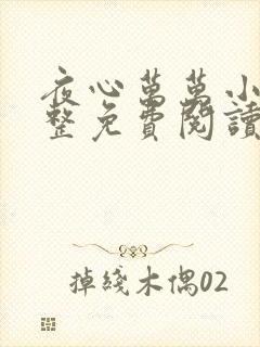 夜心万万小说完整免费阅读全文