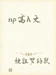 np高h文