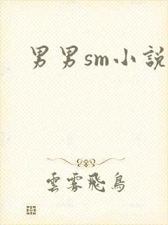 男男sm小说
