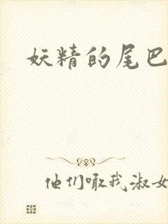 妖精的尾巴h