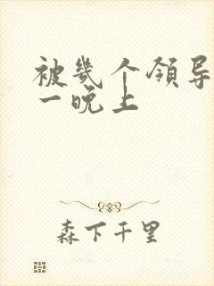 被几个领导玩弄一晚上封面