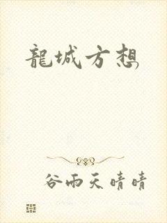 龙城方想封面
