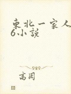 东北一家人1一6小说