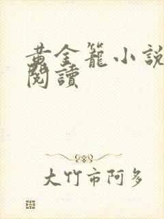 黄金笼小说免费阅读