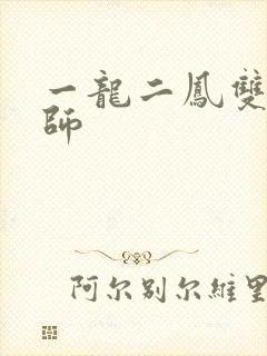 一龙二凤双飞老师