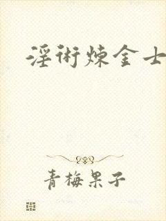 淫术炼金士小说