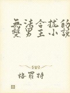 无法合拢的总裁双男主小说封面