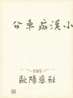 公车痴汉小说封面