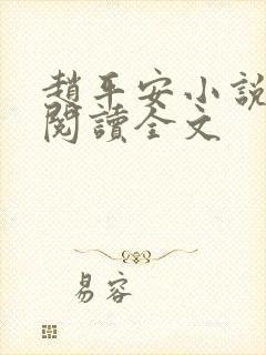 赵平安小说免费阅读全文封面