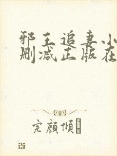 邪王追妻小说无删减正版在线阅读