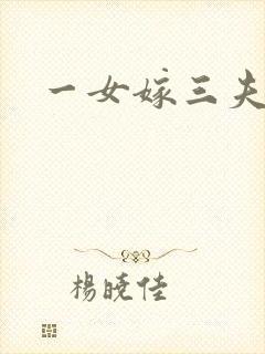 一女嫁三夫封面