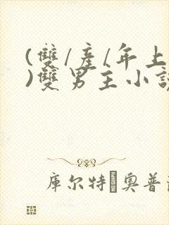 (双/产/年上)双男主小说