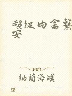 超级肉禽系统保安