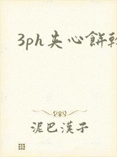 3ph夹心饼干封面