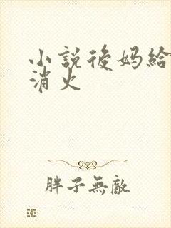 小说后妈给我消消火