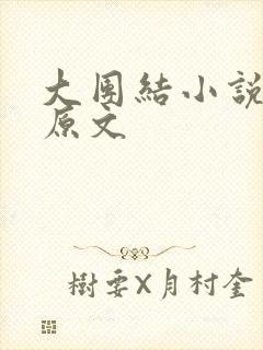 大团结小说阅读原文