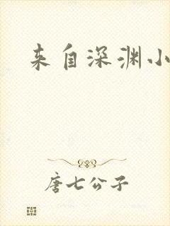 来自深渊小说