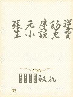 张元庆的逆袭人生小说免费阅读