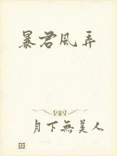 暴君风弄封面