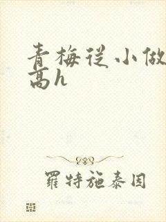 青梅从小做到大高h封面
