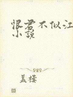 恨君不似江楼月小说