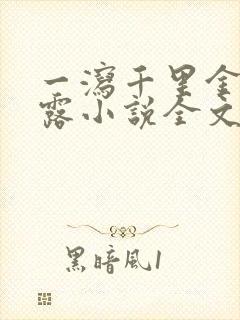 一泻千里金银花露小说全文免费阅读