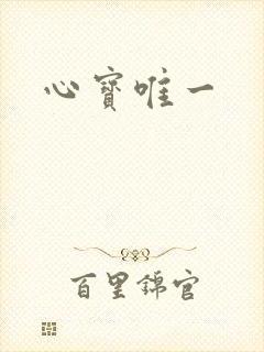 心宝唯一封面