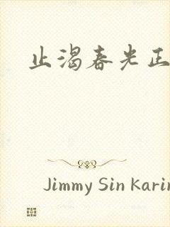 止渴春光正好封面