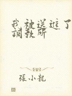 我被送进了私奴调教所