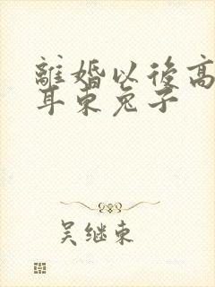 离婚以后高干 耳东兔子