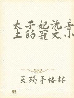 太子妃沈音和皇上的宠文小说