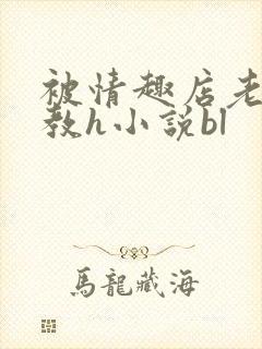 被情趣店老板调教h小说bl