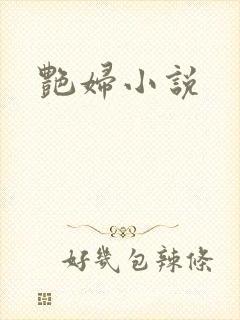艳妇小说
