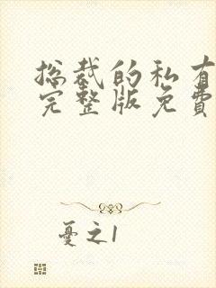 总裁的私有宝贝完整版免费阅读