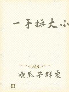 一手抚大小说