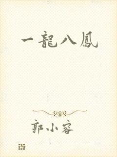 一龙八凤