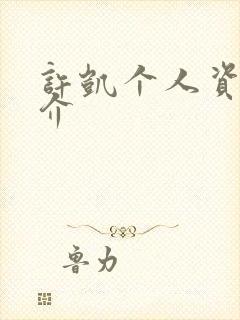 许凯个人资料简介