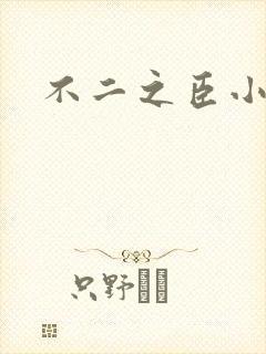 不二之臣小说