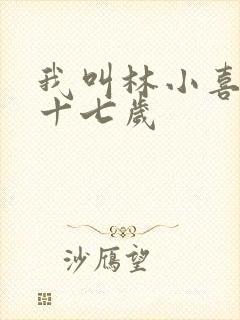 我叫林小喜今年十七岁