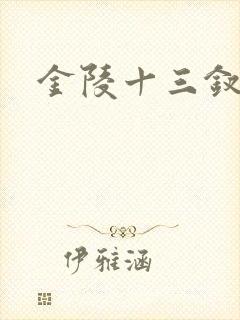 金陵十三钗原著封面