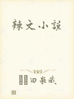辣文小说