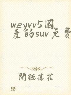 weyvv5国产的suv免费