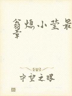 翁熄小莹最新节章封面