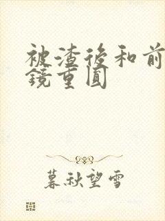 被渣后和前夫破镜重圆封面