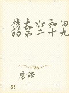 杨大壮和田桂花的第二十九封面